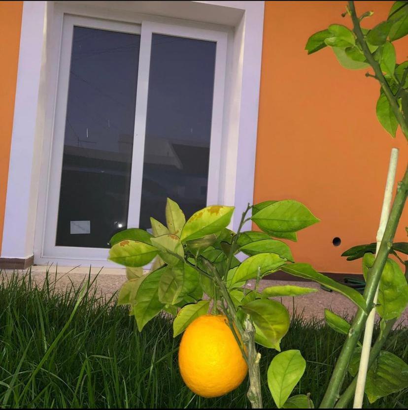 Orange Guest House Sagres Exteriér fotografie