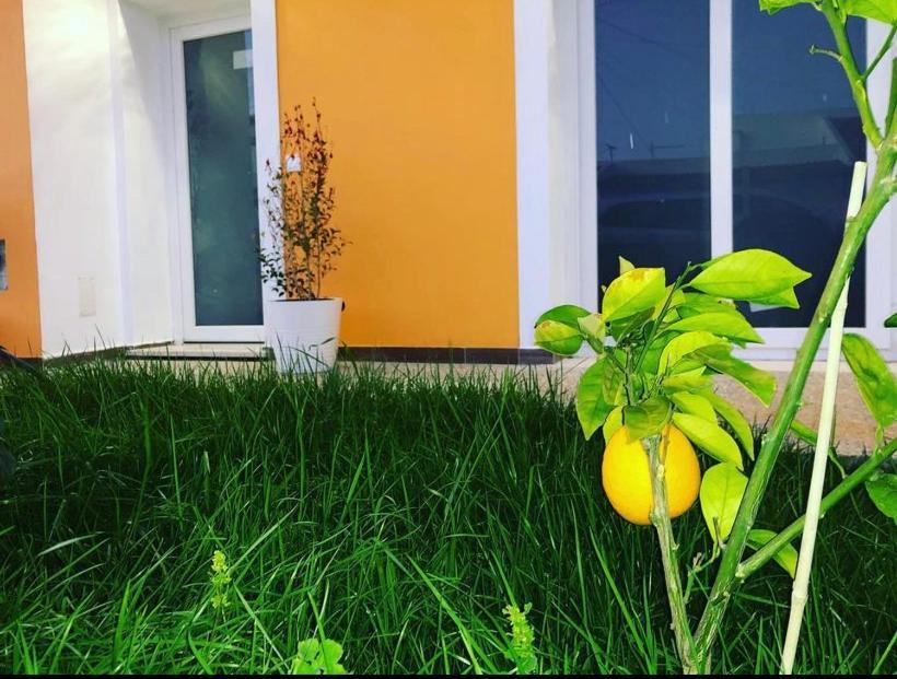 Orange Guest House Sagres Exteriér fotografie